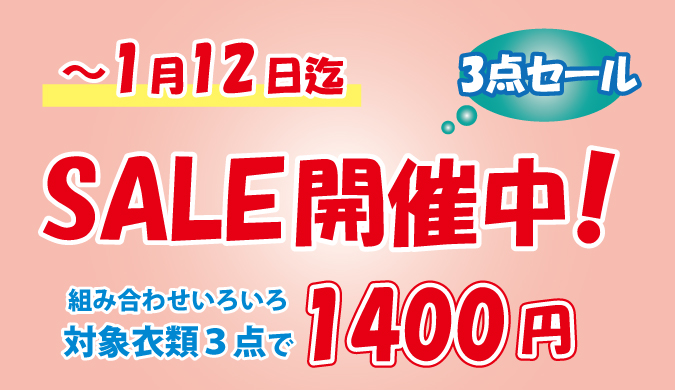 日乃出ドライ -市川で信頼できる手仕上げが自慢のクリーニング店
