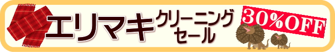 エリマキクリーニングセール